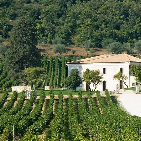 San Calisto Con Vigna Bed & Breakfast