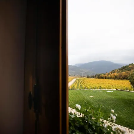 San Calisto Con Vigna * Popoli