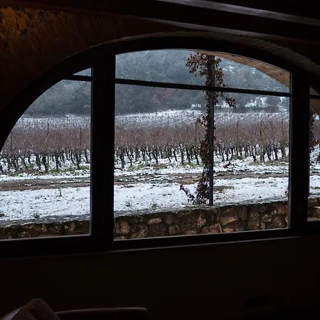 San Calisto Con Vigna