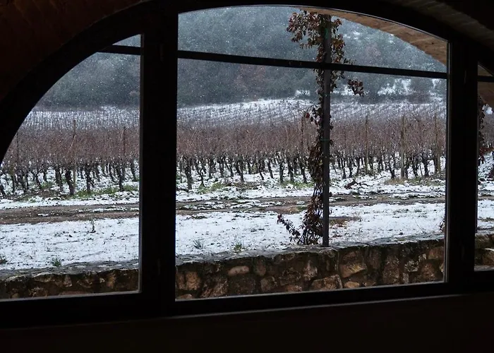 San Calisto Con Vigna